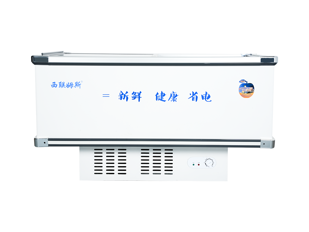 Bevel Luxury Freezer Seafood Showcase