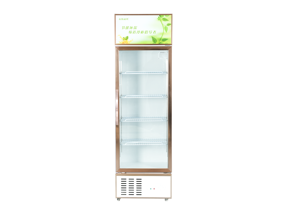 Single Door Freezer Display Showcase