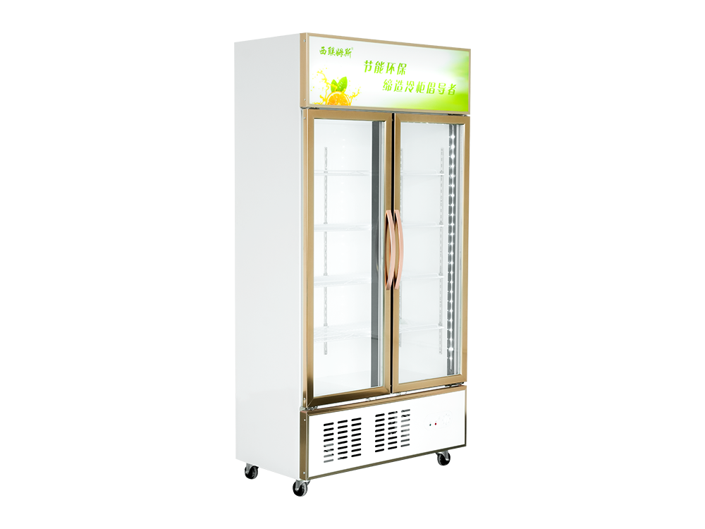 Open Door Type (Lower Unit) Freezer Display Showcase