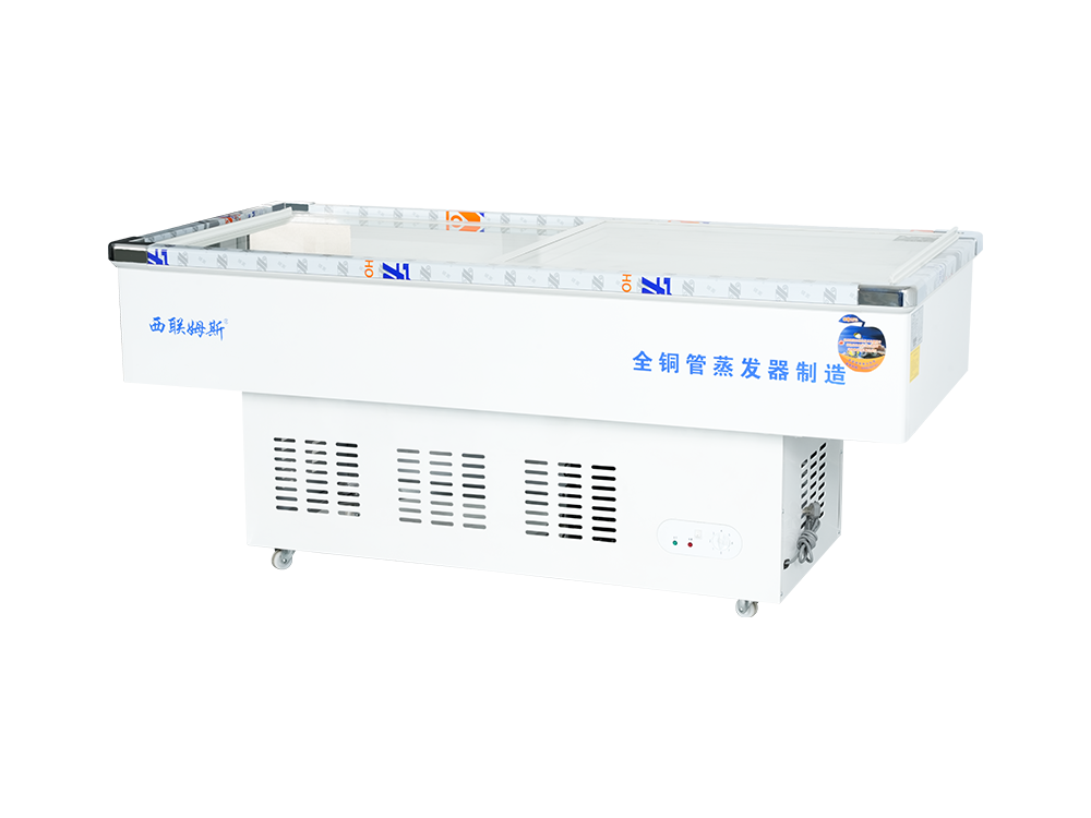 Luxury New White Freezer Seafood Showcase