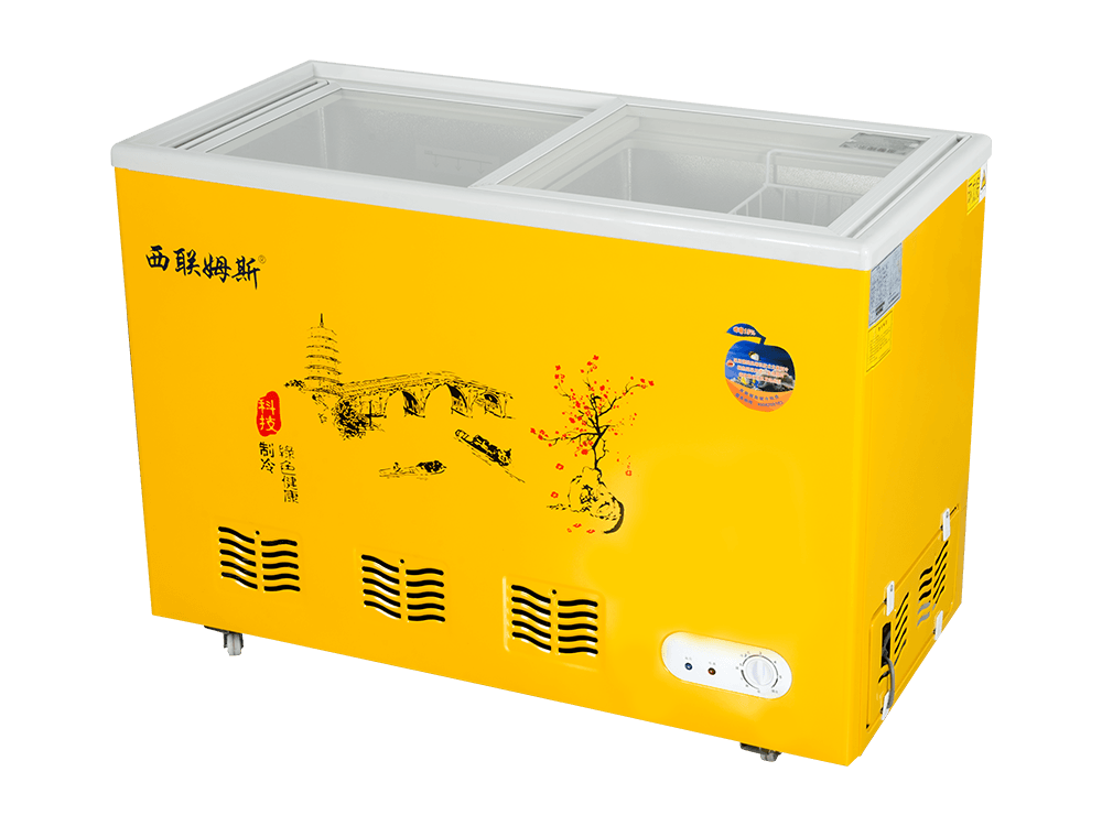 Curved Glass Freezer