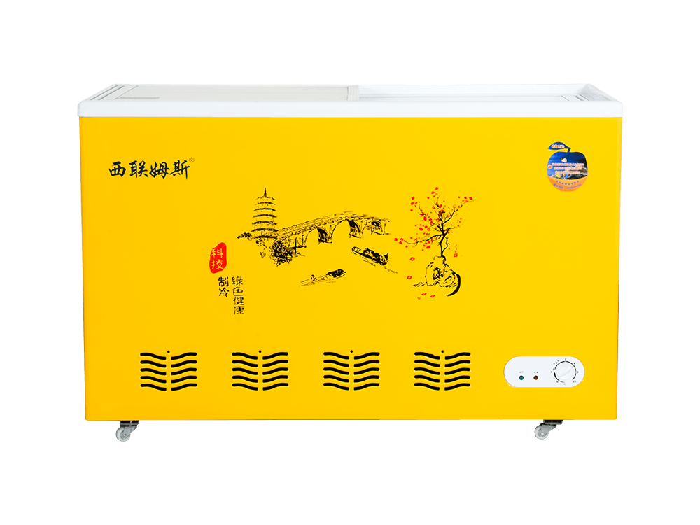 Curved Glass Freezer