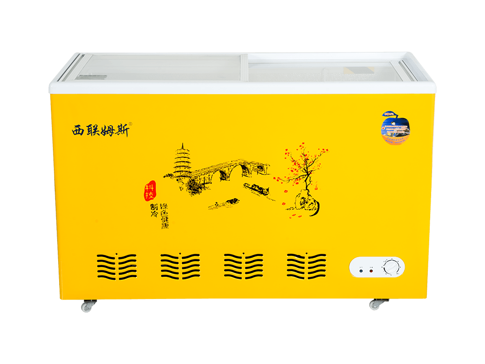 Curved Glass Freezer