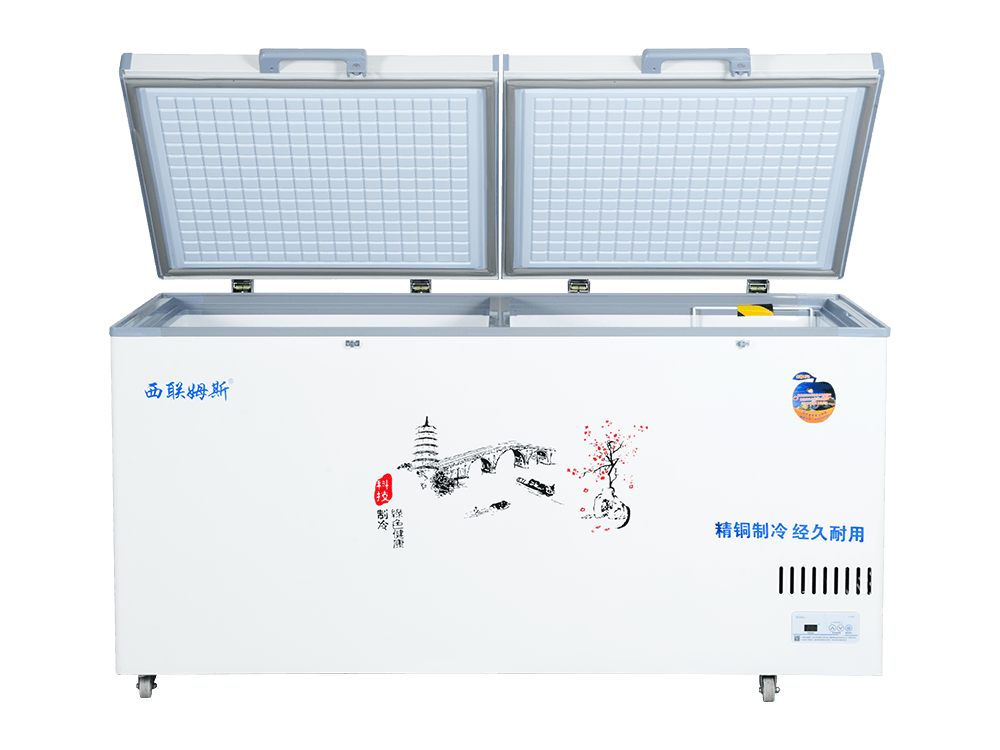 Double-door upright dual-temperature standard freezer