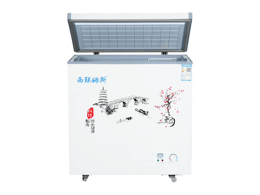 Single-door upright dual-temperature small freezer