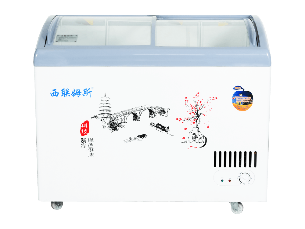 Curved Glass Freezer