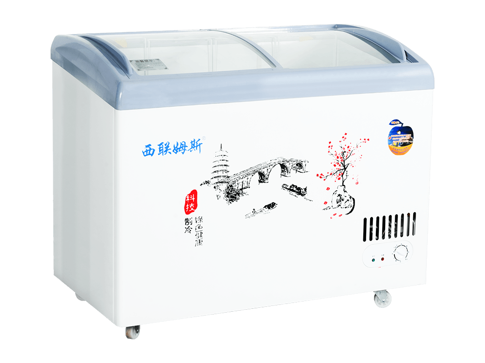 Curved Glass Freezer