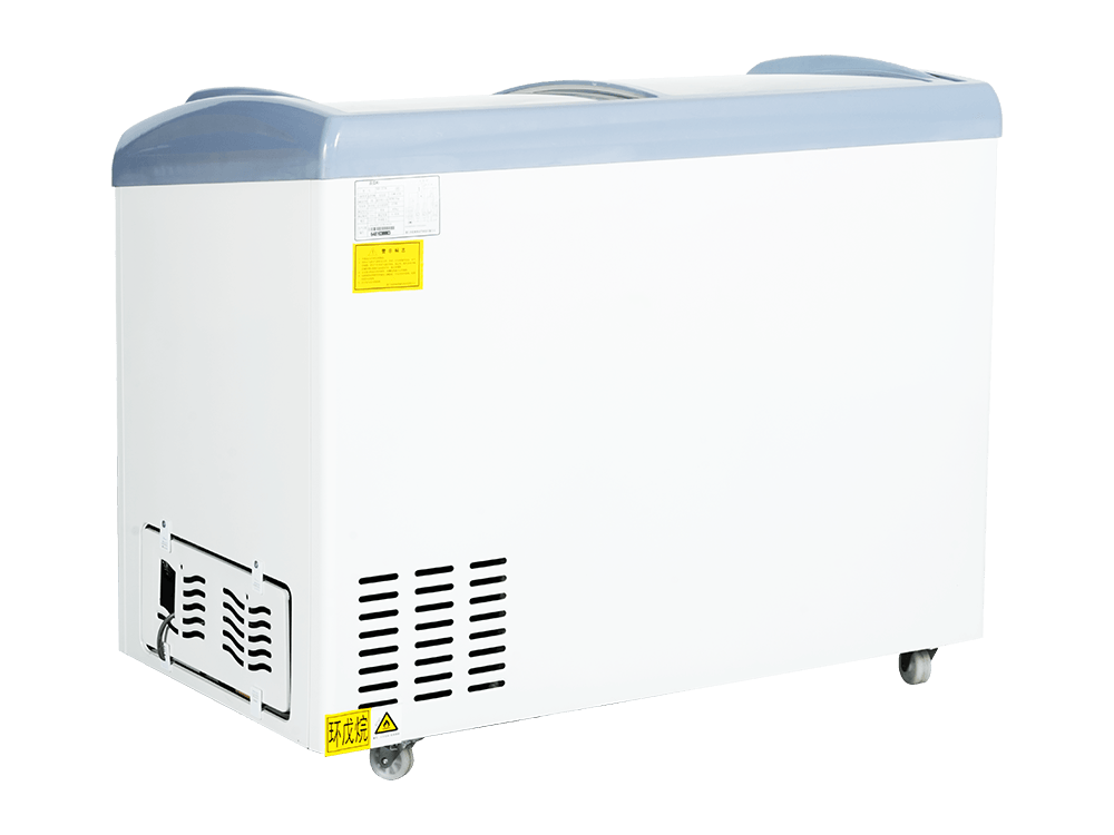 Curved Glass Freezer