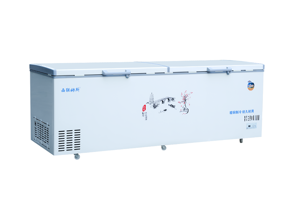 Double-door upright dual-temperature medium freezer