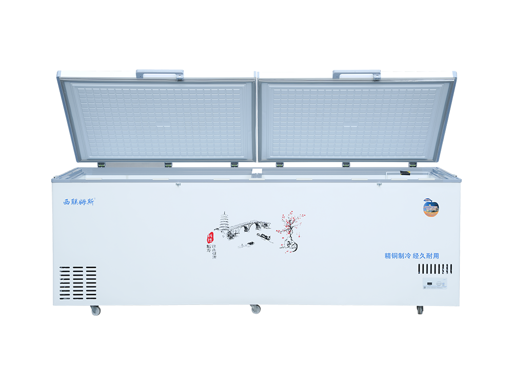 Double-door upright dual-temperature medium freezer