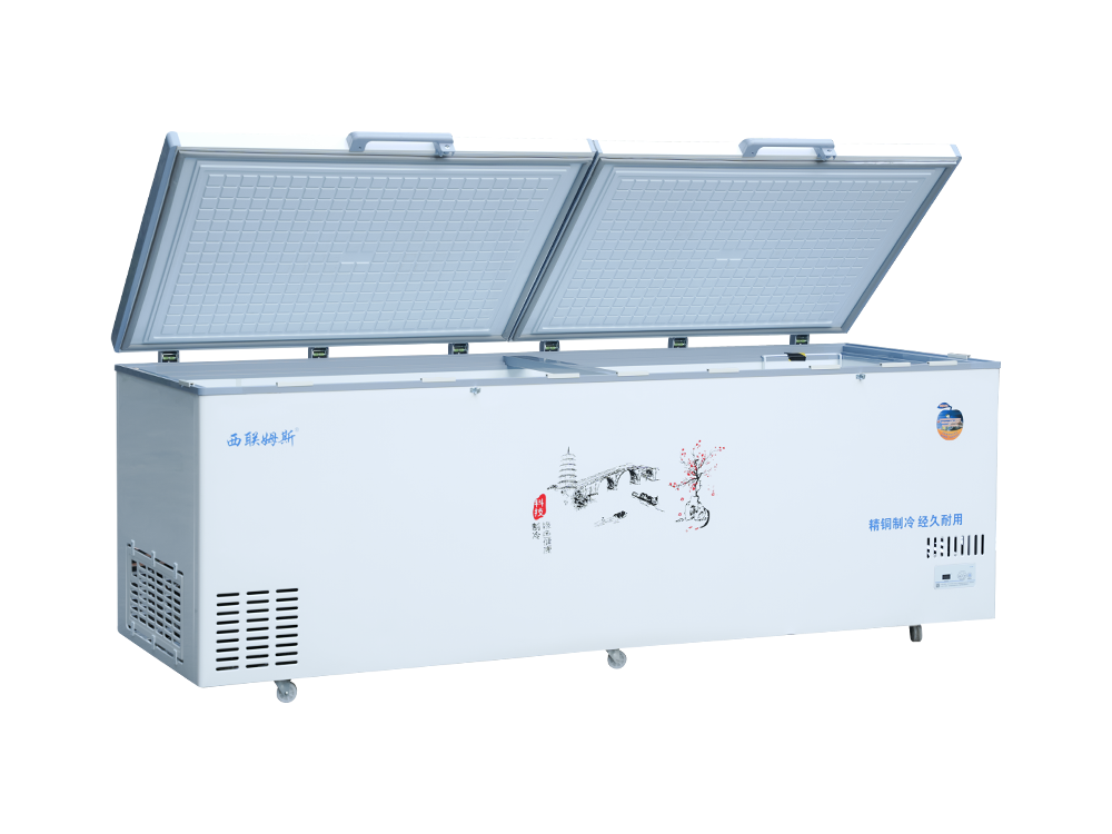 Double-door upright dual-temperature medium freezer