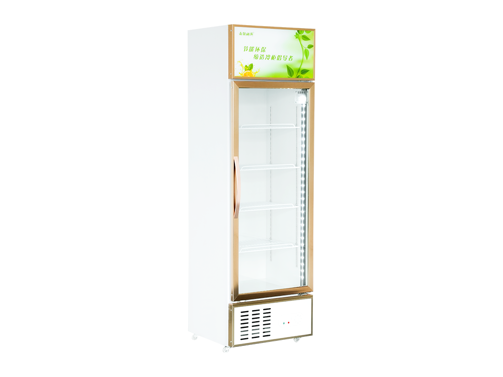 Single Door Freezer Display Showcase